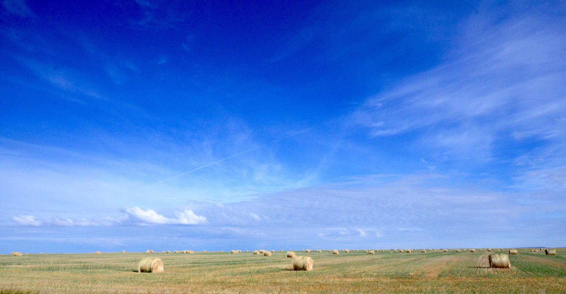 Hay Bales