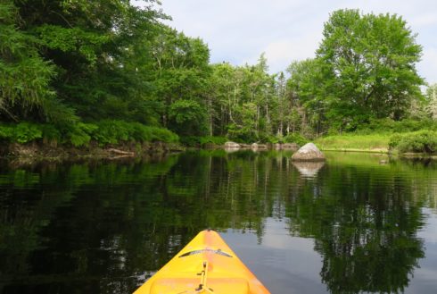 Trout Point Lodge - The Tusket River