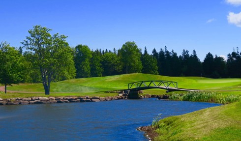 Approach to 8th green, Fox Harbr