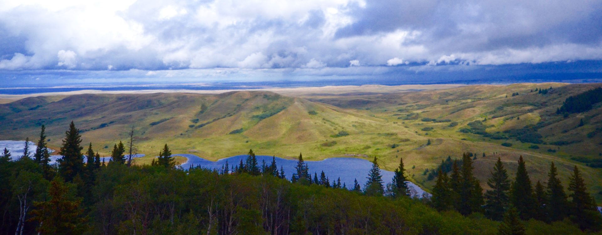 Conglomerate Cliffs Cypress Hills