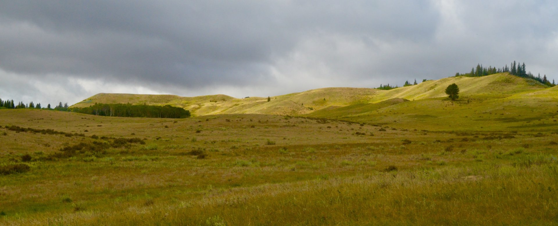 On the way to the West Block