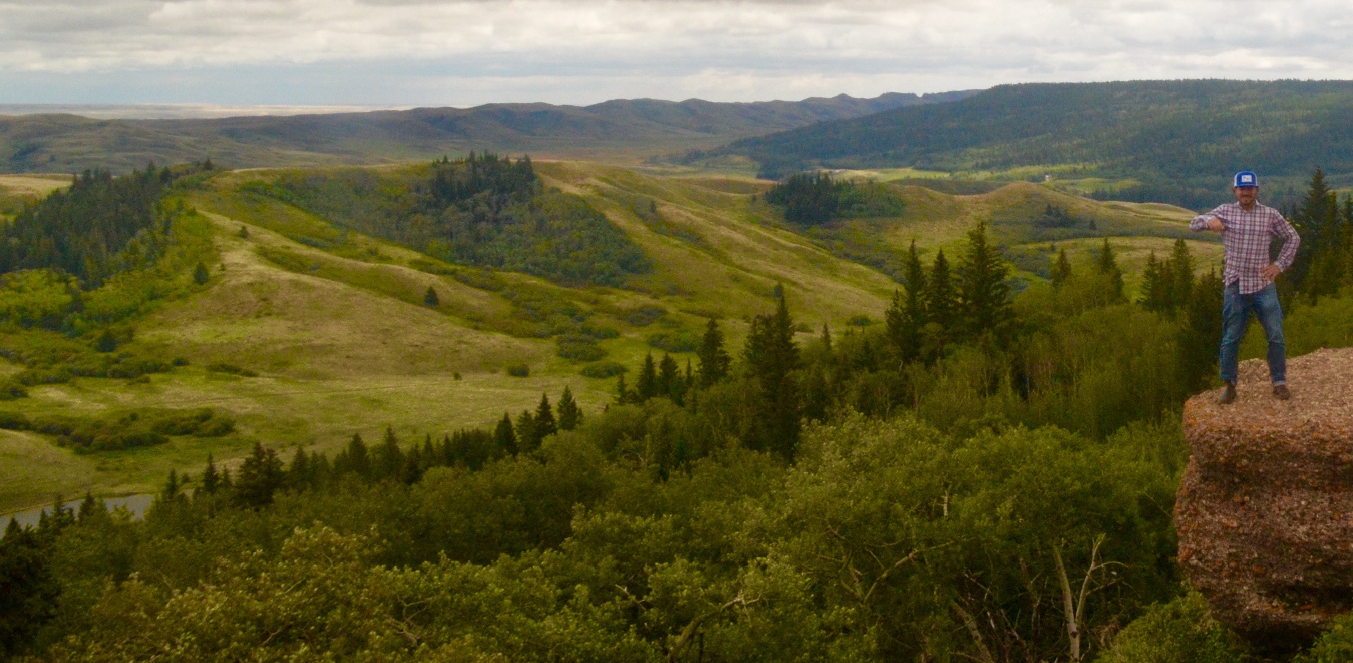 Conglomerate Cliffs, Cypress Hills West Block