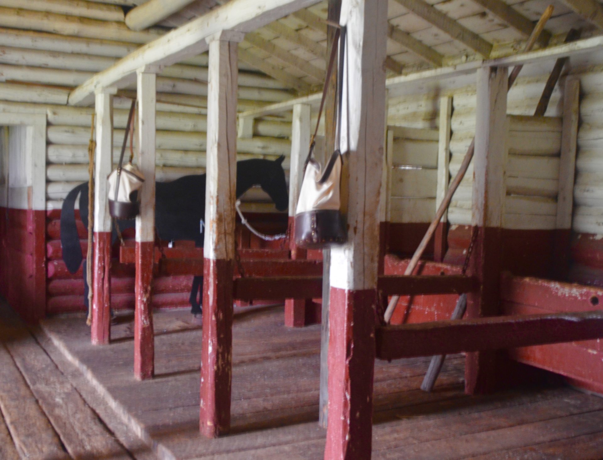 Inside the Stables at Fort Walsh