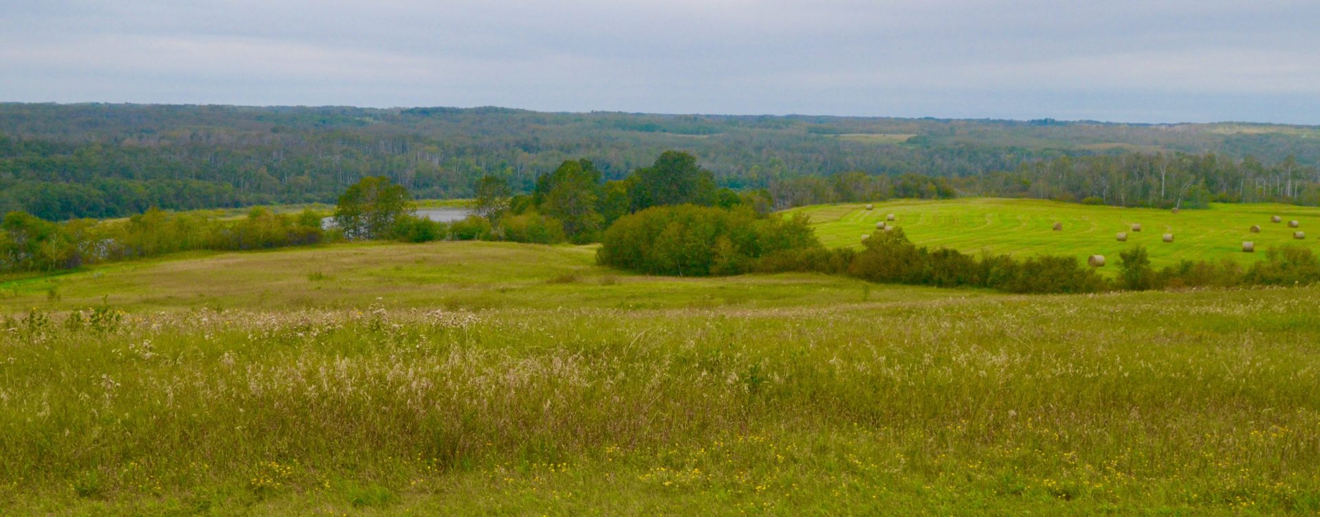 Mission Ridge - Batoche