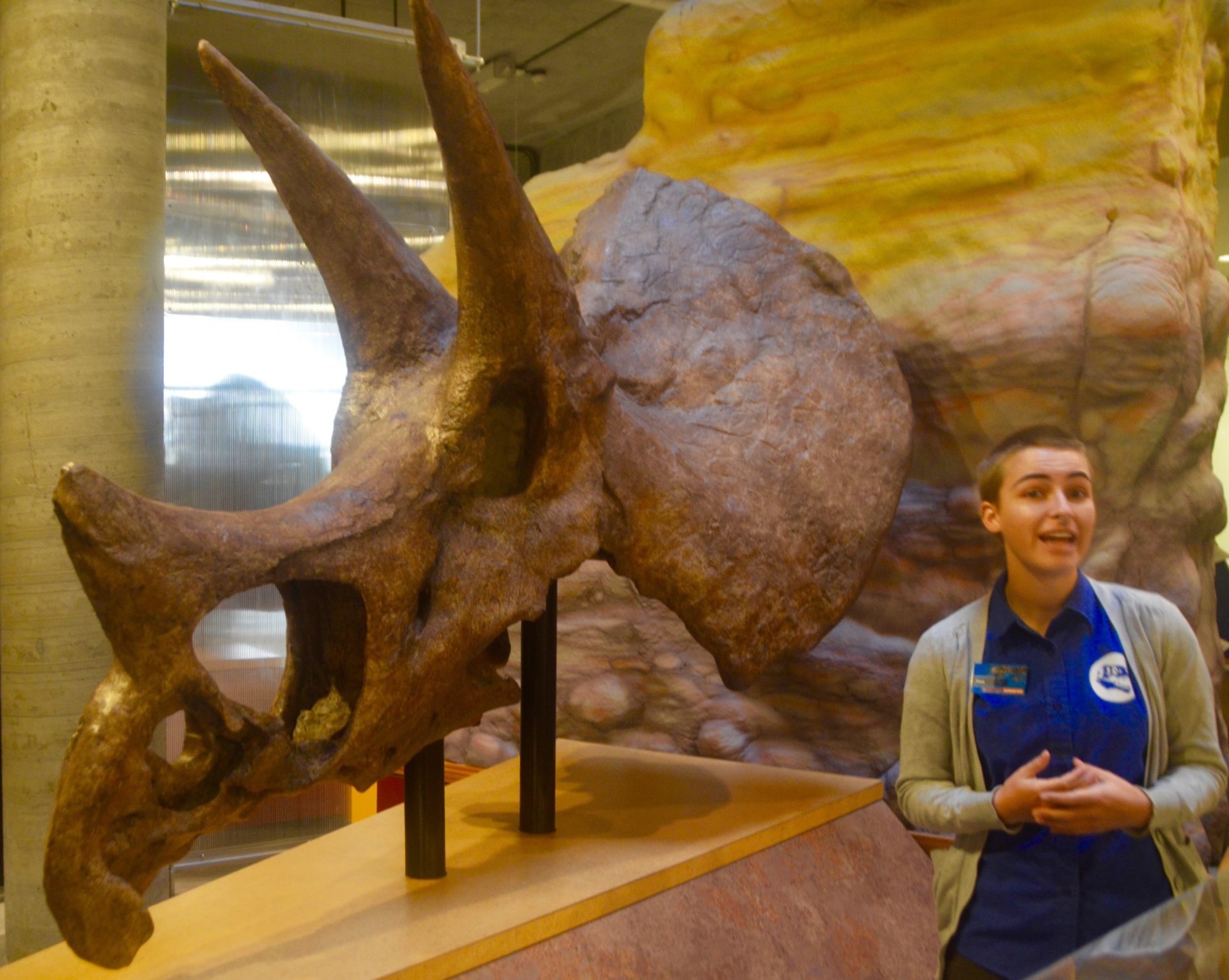 Our Guide Fen with Triceratops