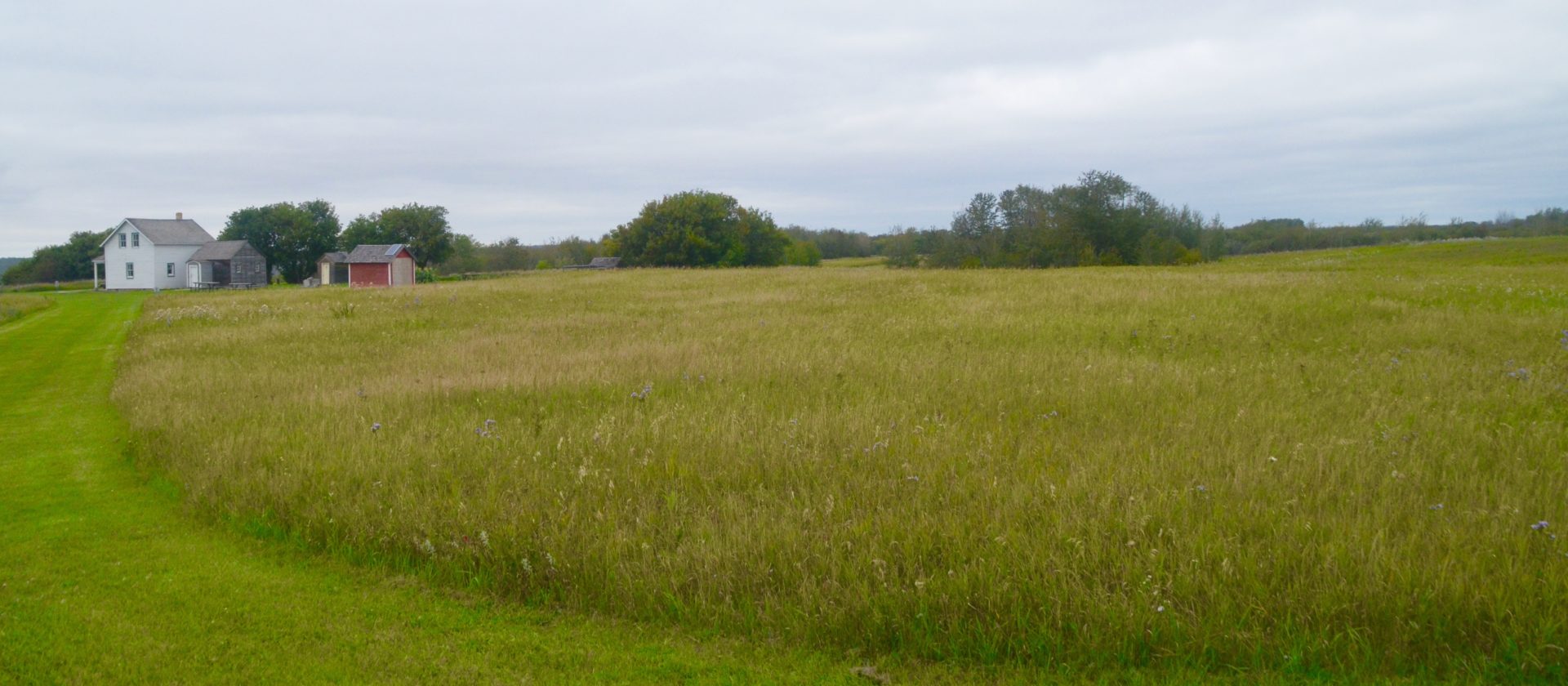 Batoche Zareba