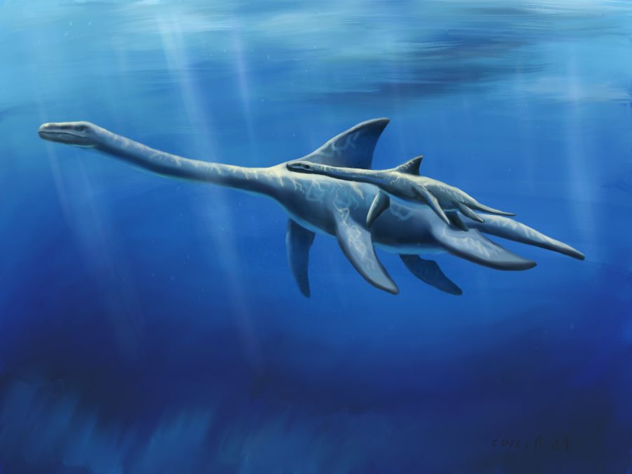 Plesiosaur with Baby