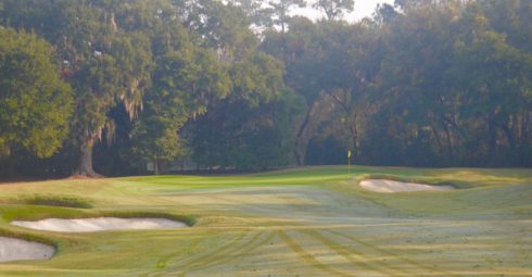 Caledonia Golf Club #2 Green