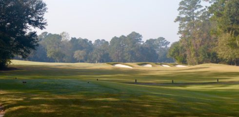 Caledonia Golf Club #8