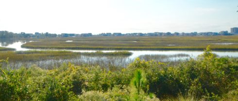 Myrtle Beach Golf - Tidewater