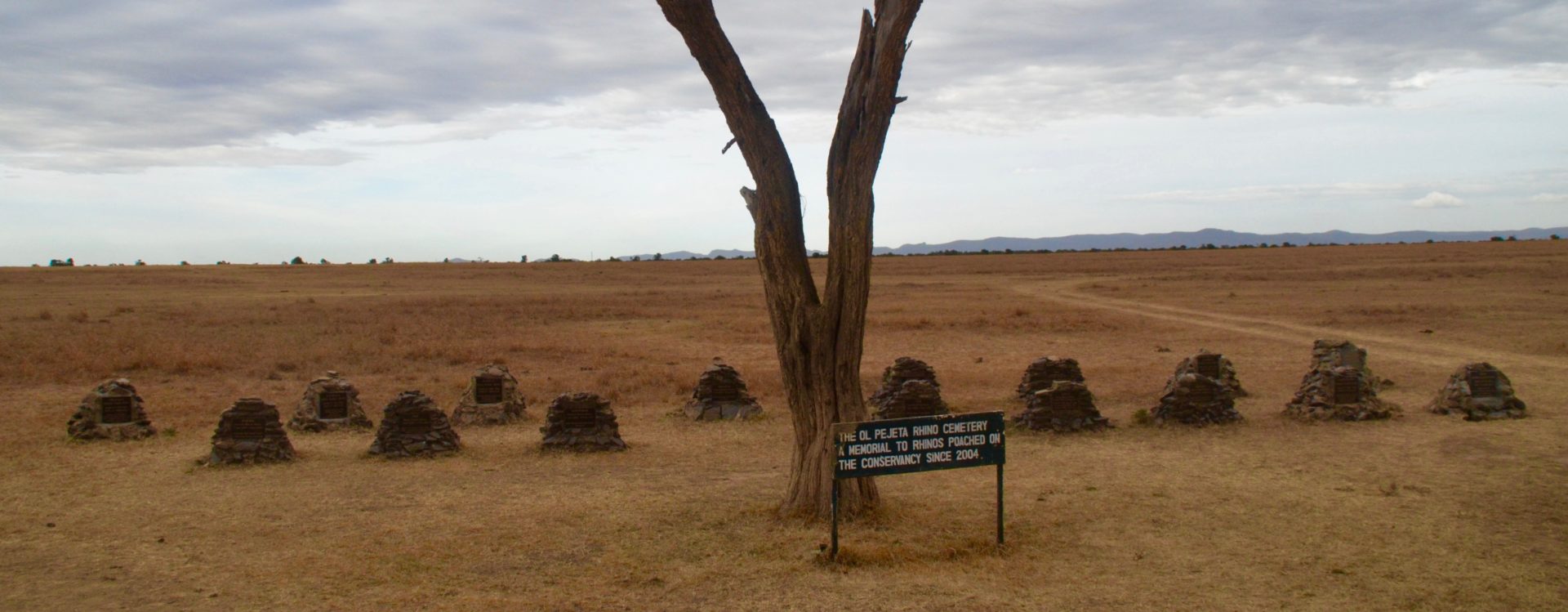 Rhino Cemetery near Sweetwaters Camp