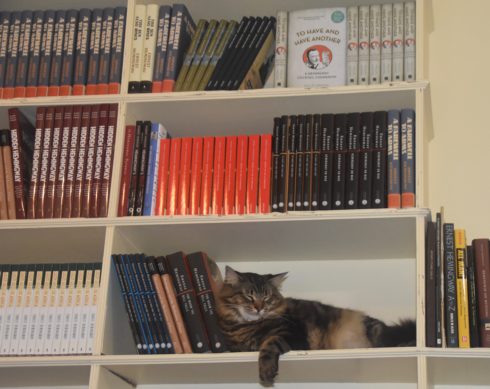 Cat on the Shelf, Hemingway House