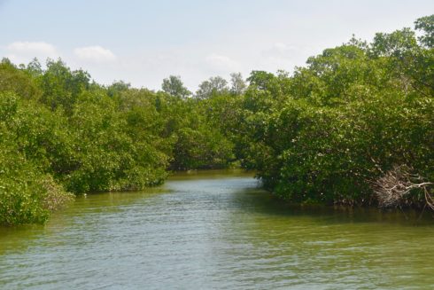 Photo of Entrance to Mound Key