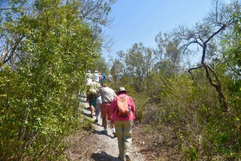 Heading up the Mounds, Mound Key