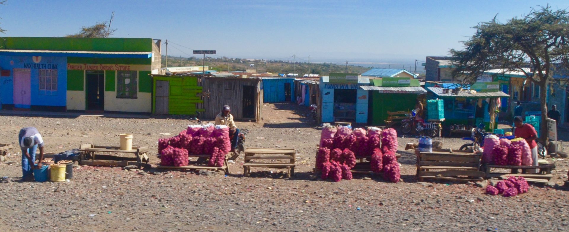 Red Onions & White Potatoes for Sale