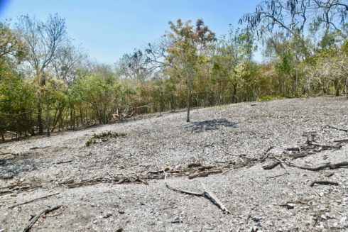 Shell Mound Clearing, Mound Key