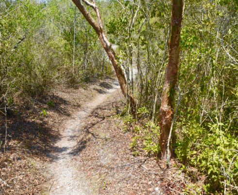 The Mound Key Trail