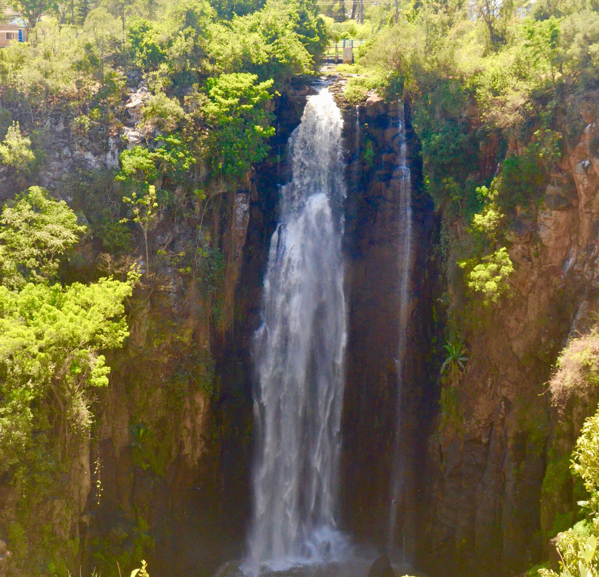 Thomson's Falls