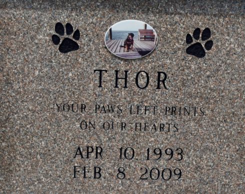 Thor, Key West Cemetery