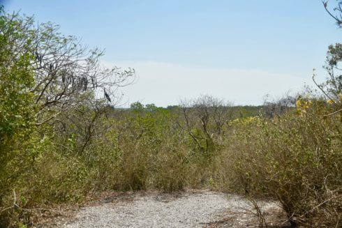 View FRom the Highest Mound, Mound Key