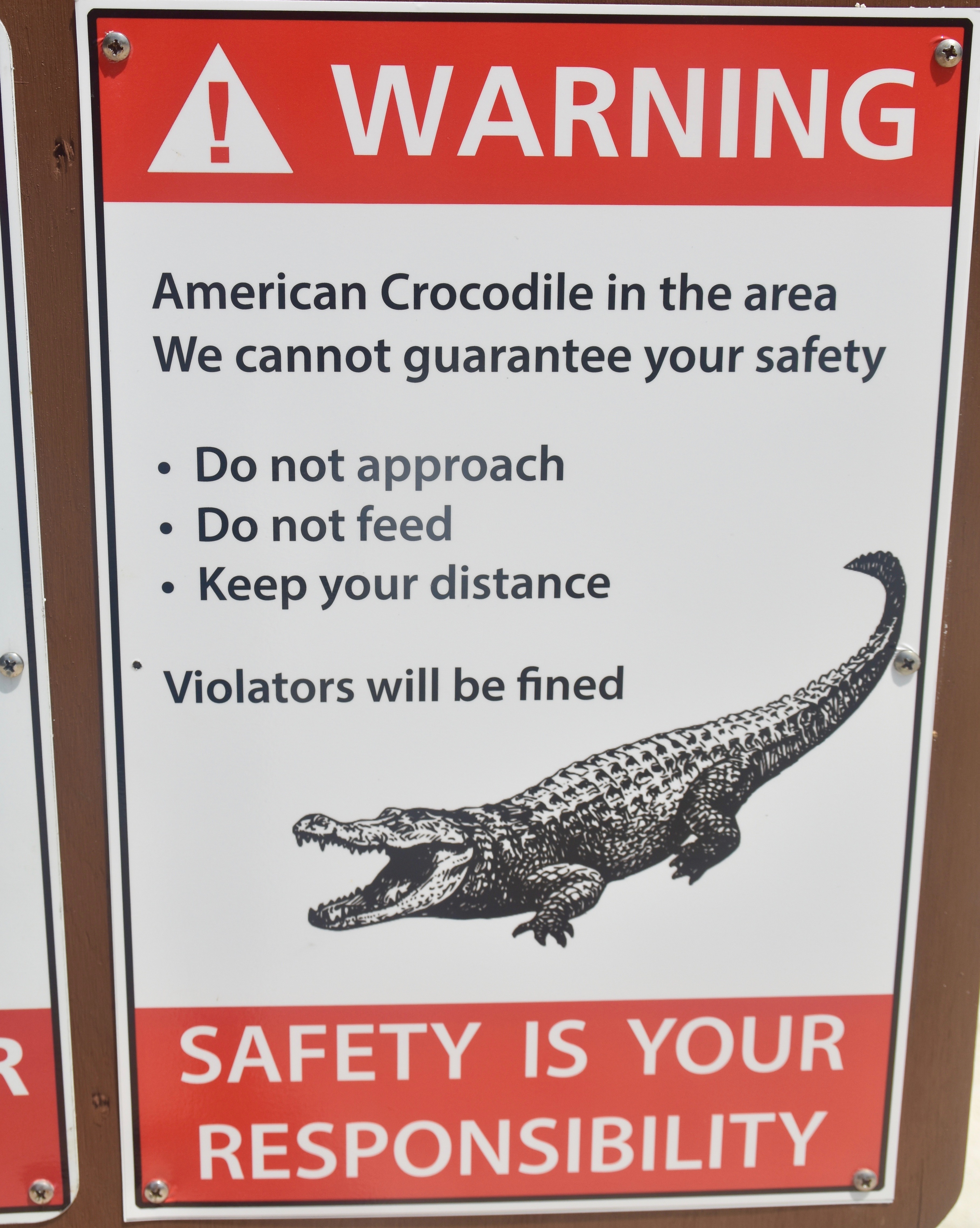 Danger - Crocodiles