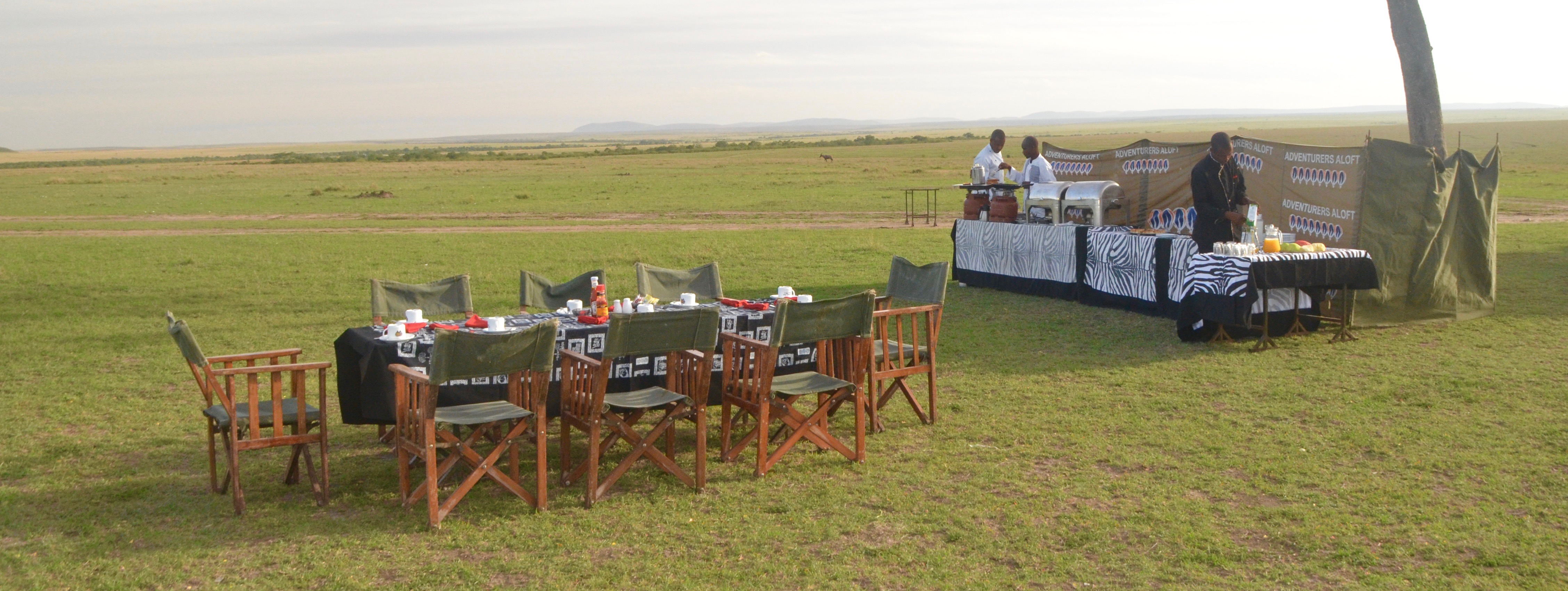 Breakfast on the Savannah, Masai Mara