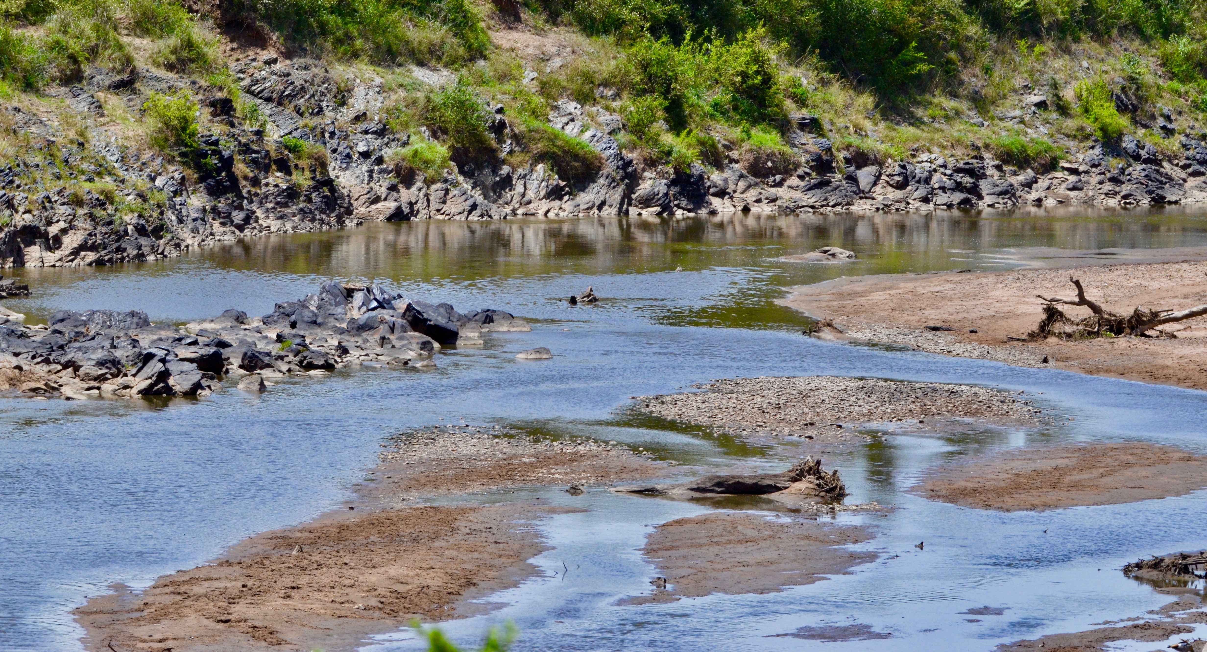 Mara River, Masai Mara