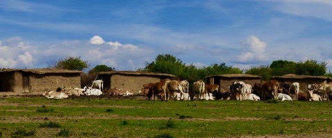 Masai Village