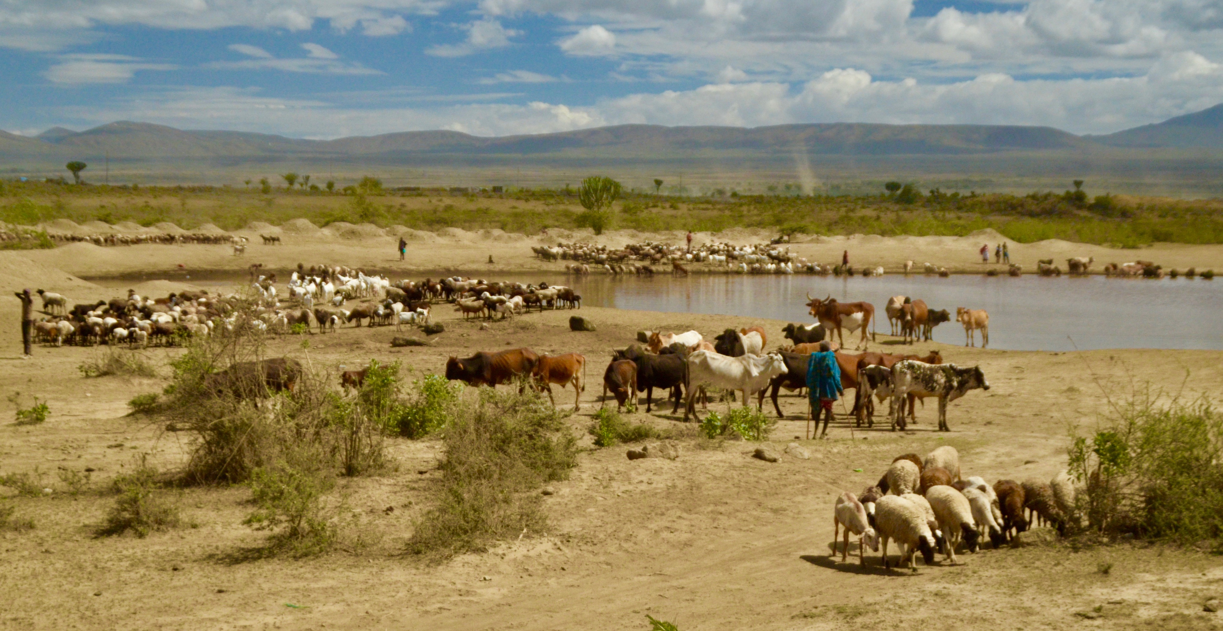 Masai Waterhole