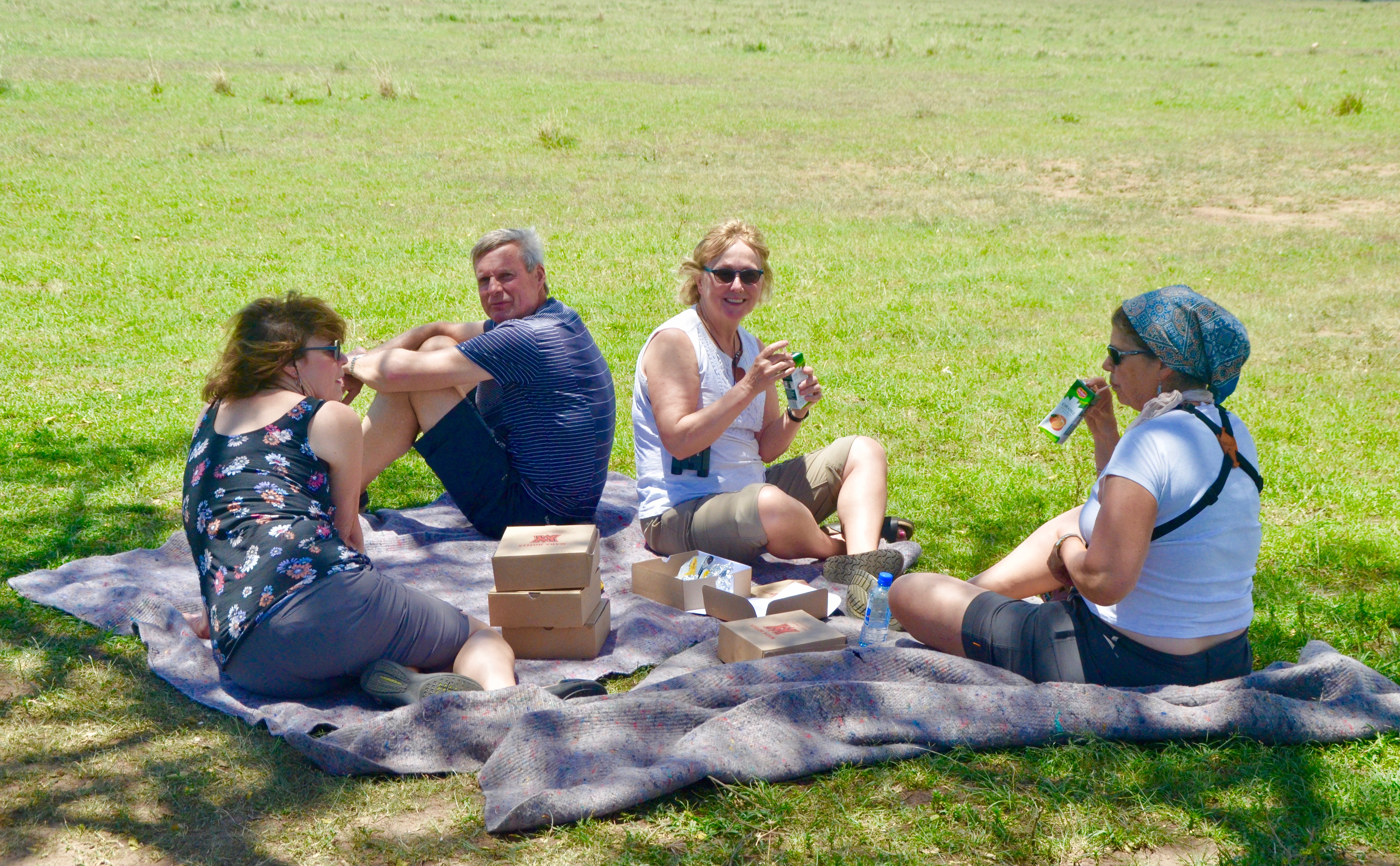 Picnic on the Savannah, Masai Mara