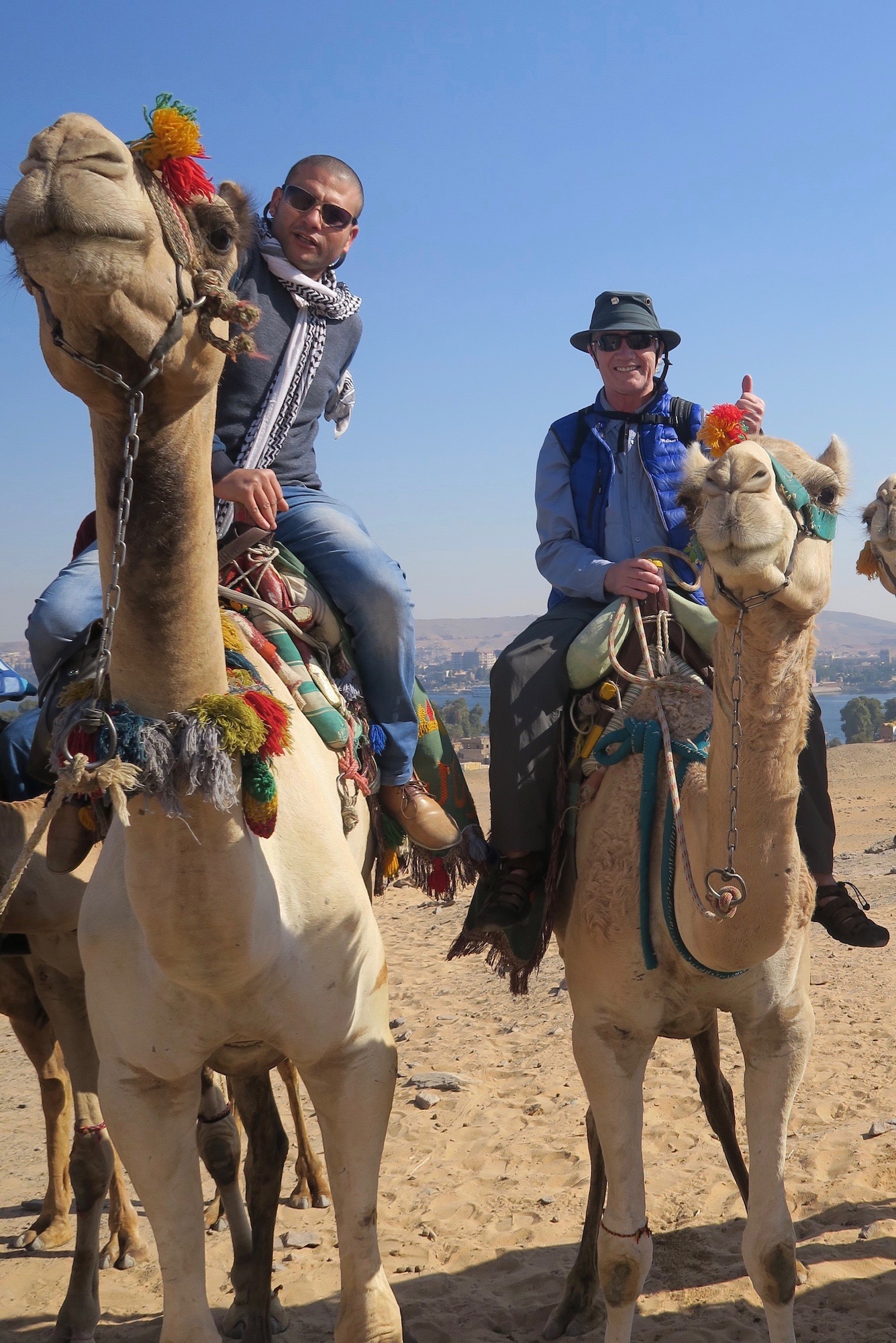 On a Camel with Ahmed on the way to St. Simeon Monastery