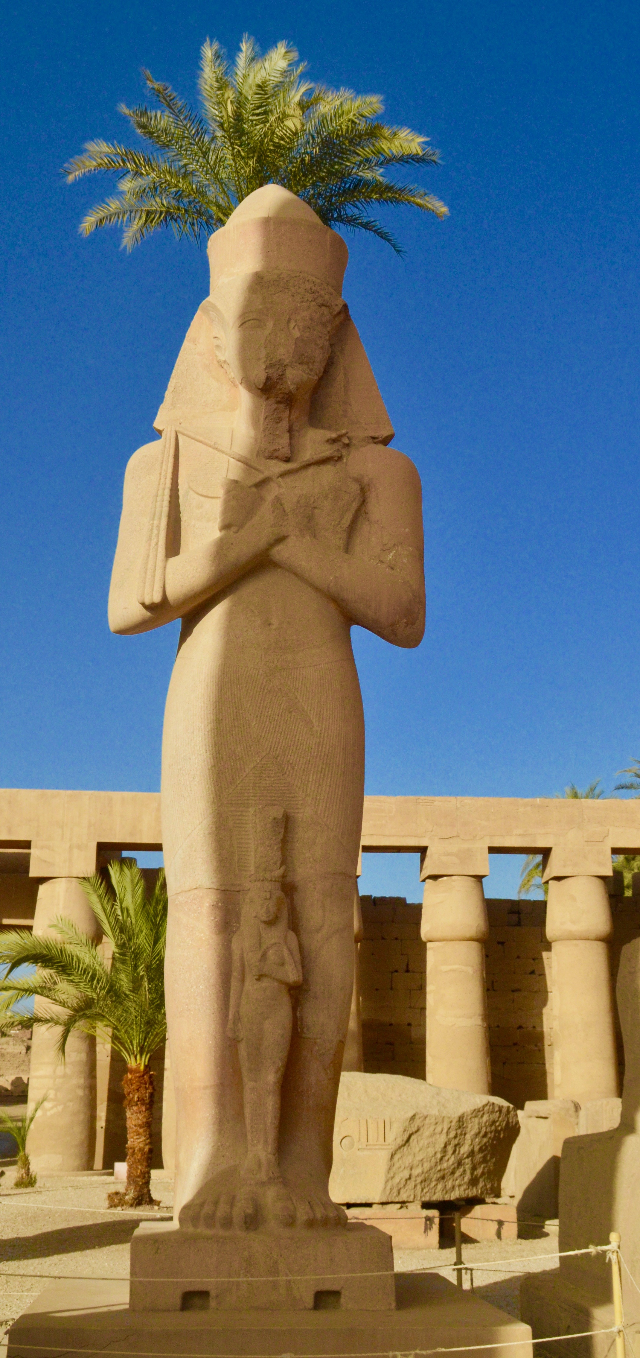 Ramses with a Palm Tree