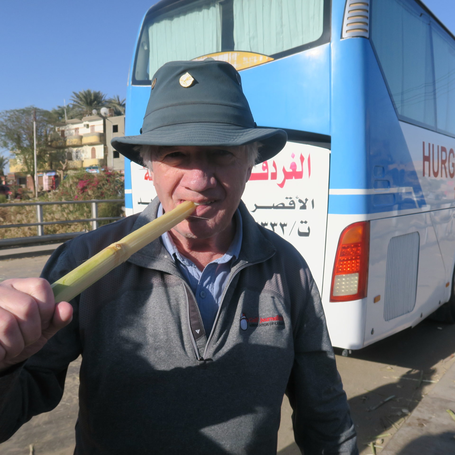 Trying some Egyptian Sugar Cane