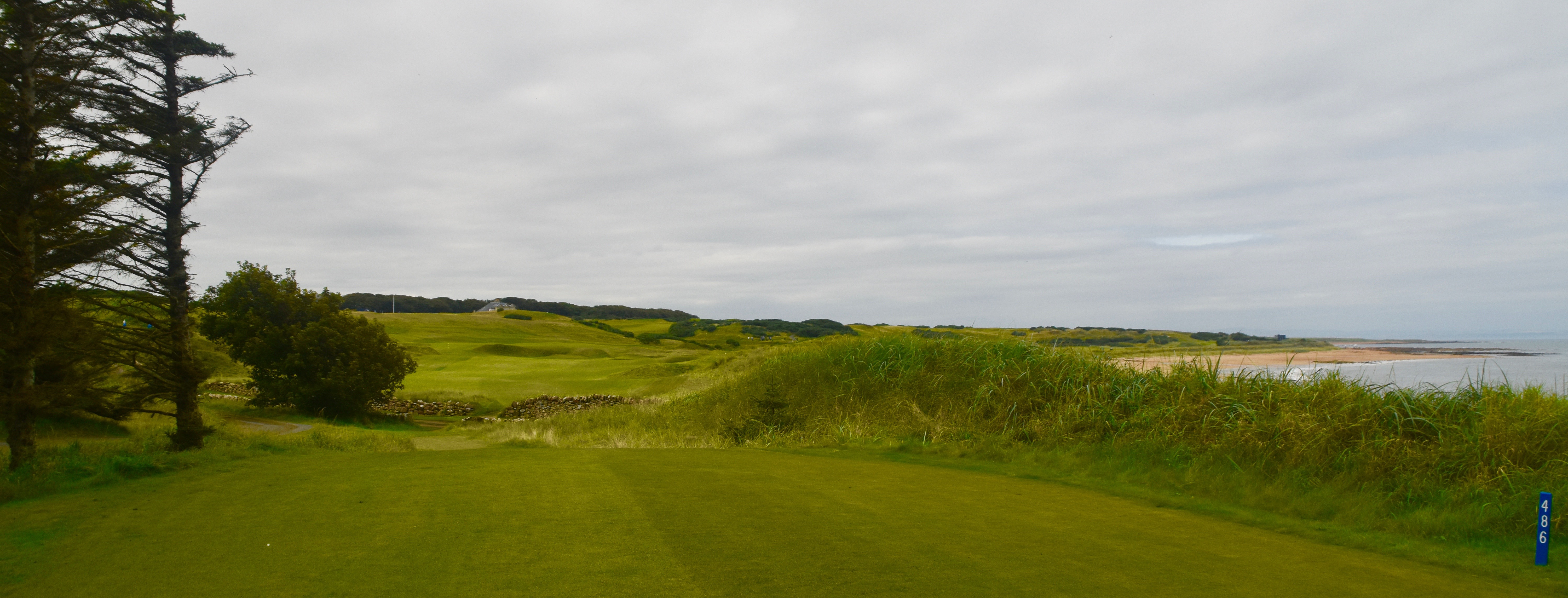 Kingsbarns #16