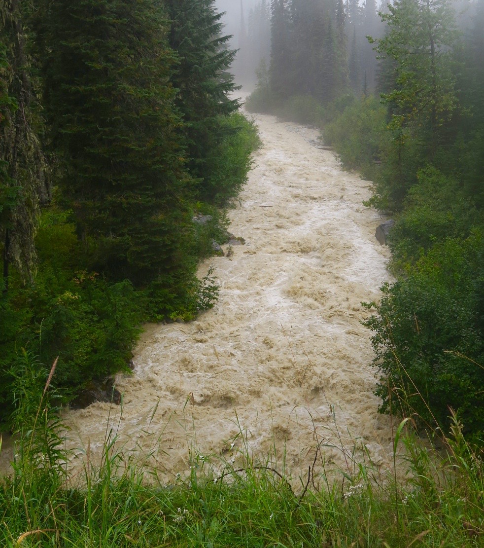 Illicillewaet River, Glacier National Park