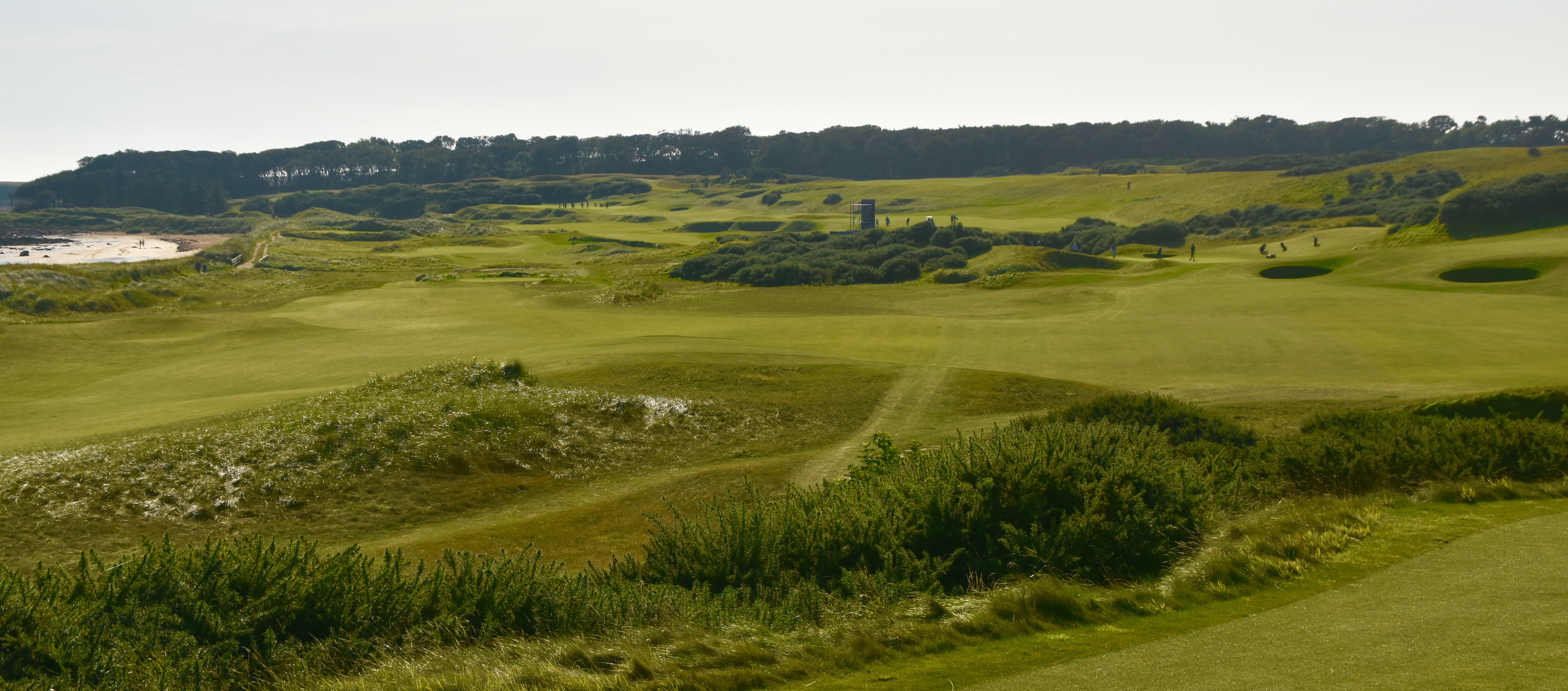 Kingsbarns #6