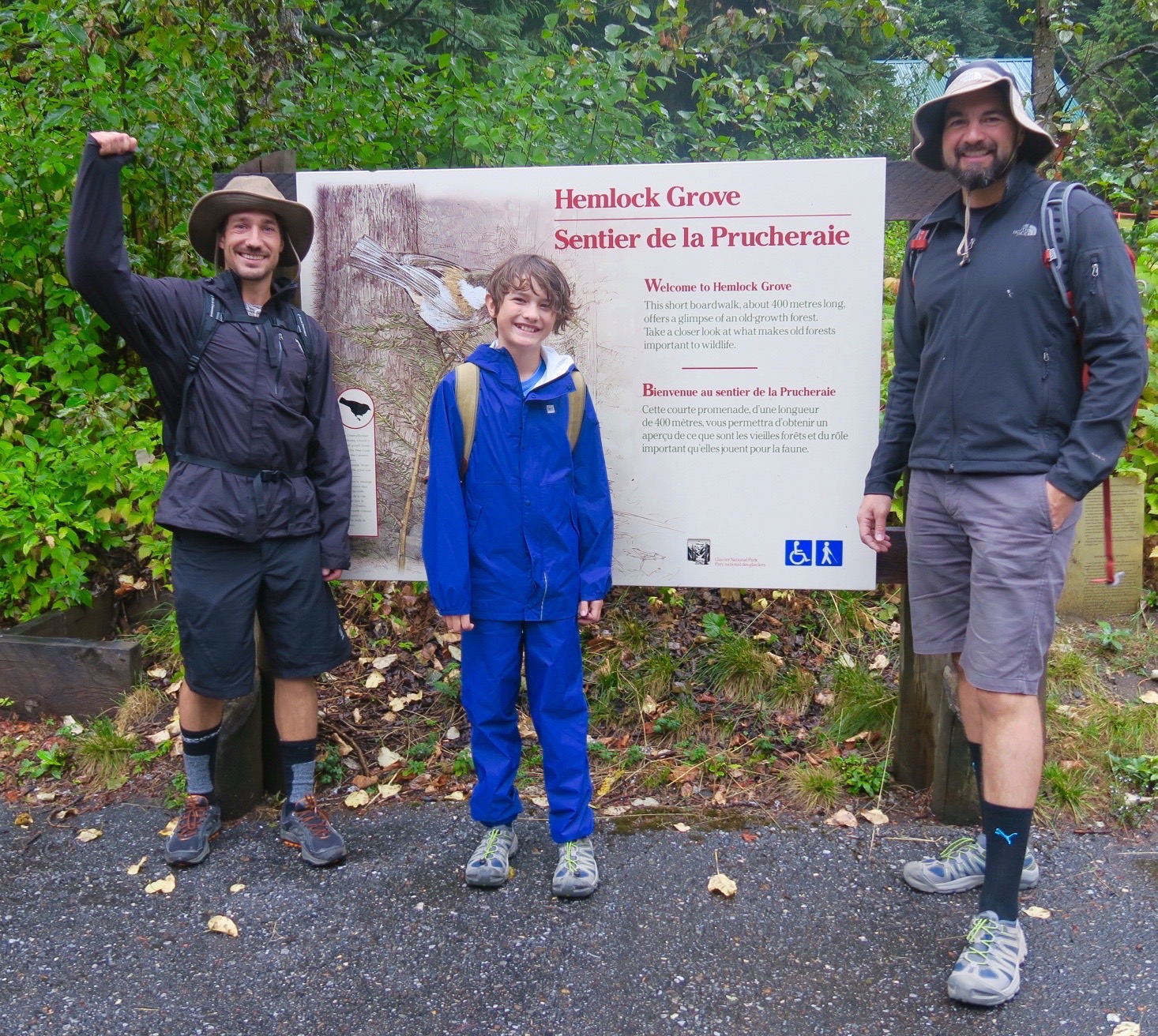 On the Hemlock Grove Trail, Glacier National Park