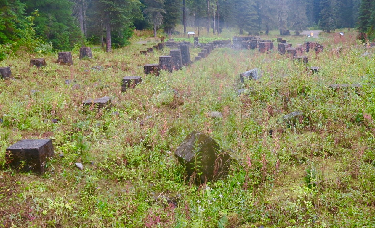 Ruins of Glacier House 2