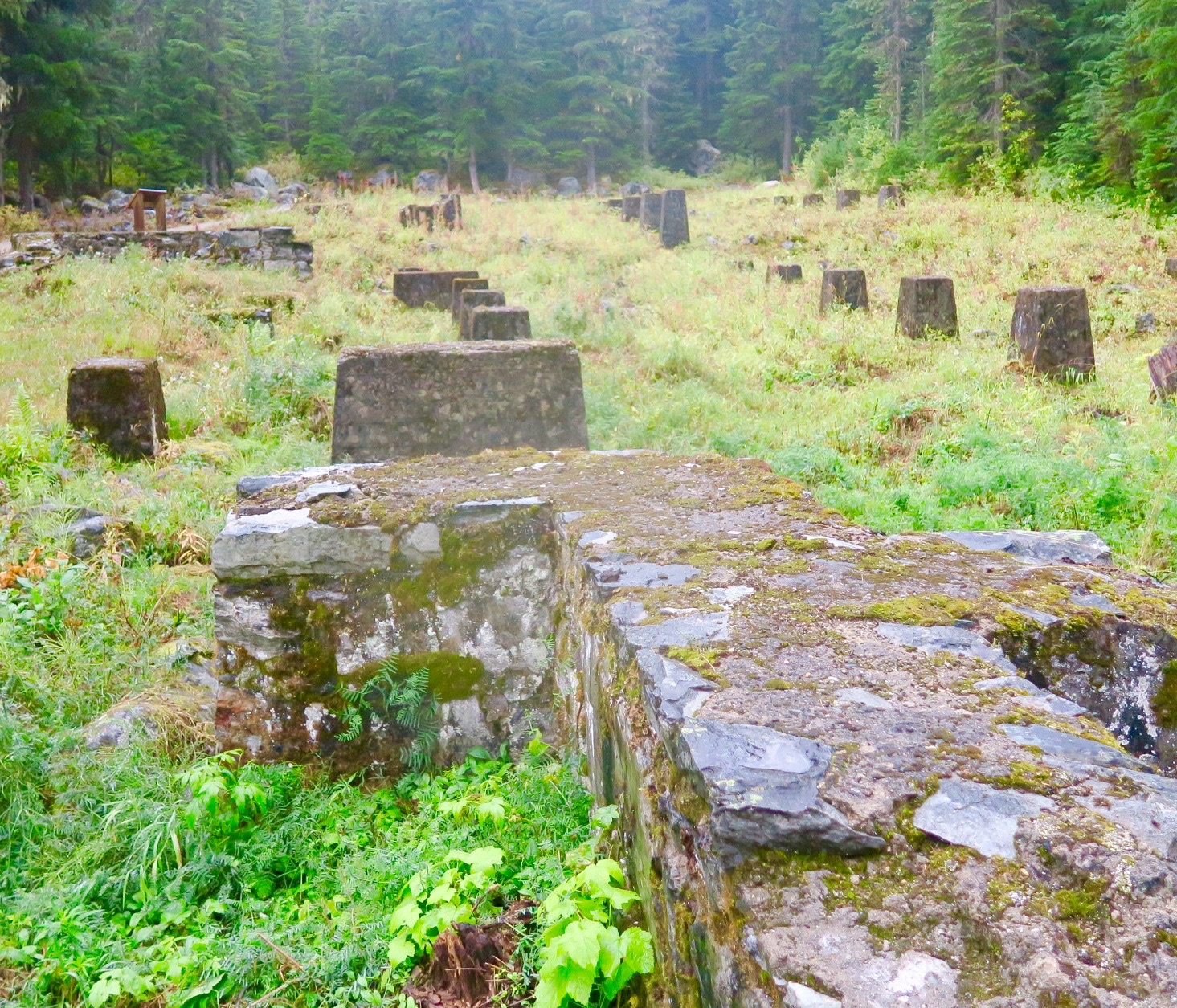 Ruins of Glacier House