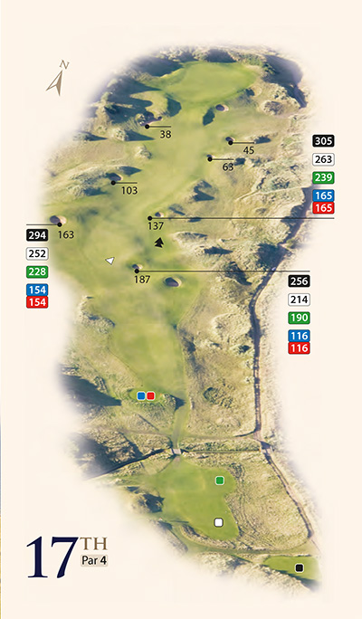 Kingsbarns #17