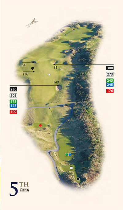 Kingsbarns # 5