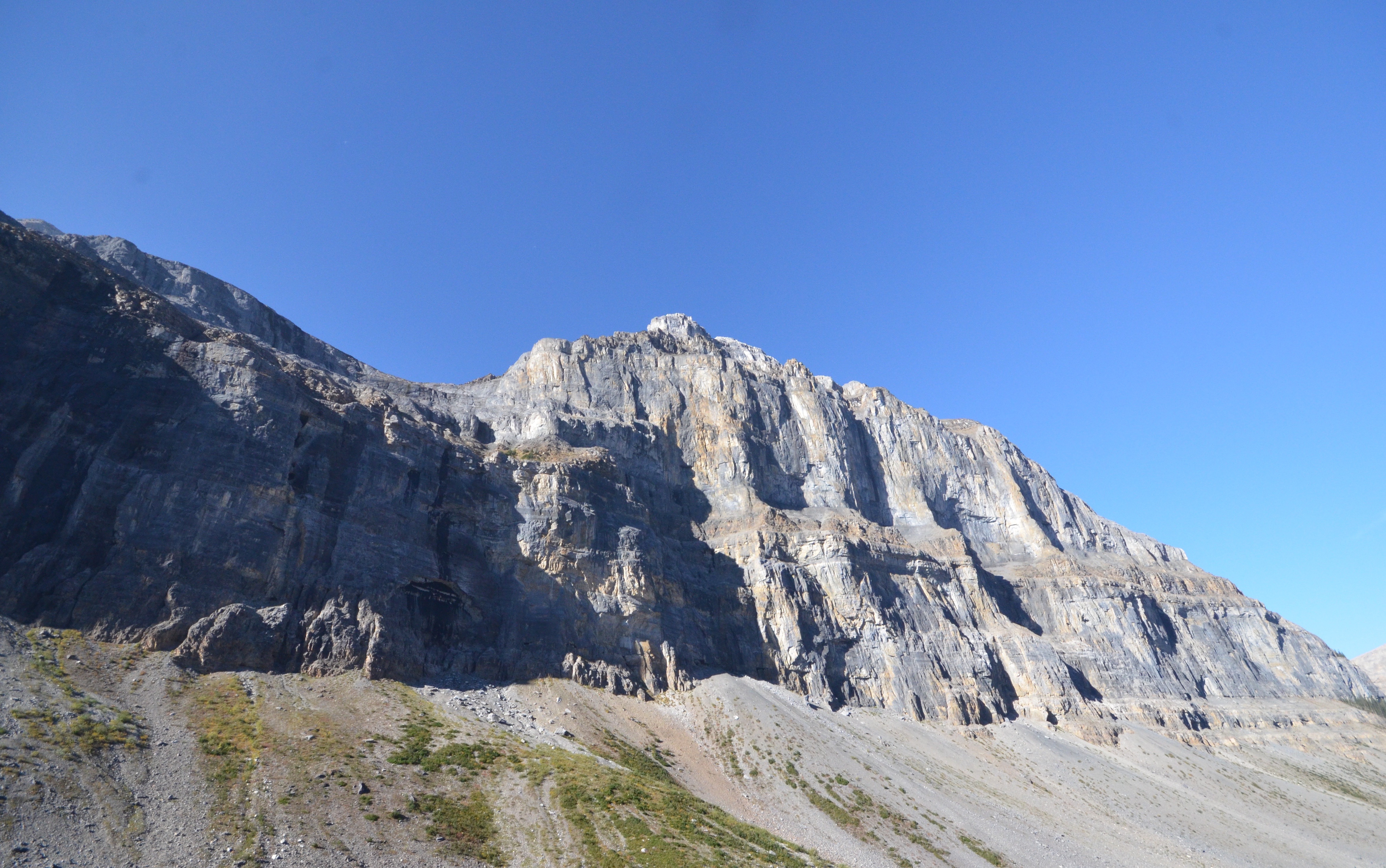 Burgess Shale on Mount Stanley