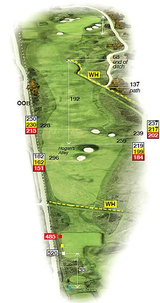 Carnoustie #6