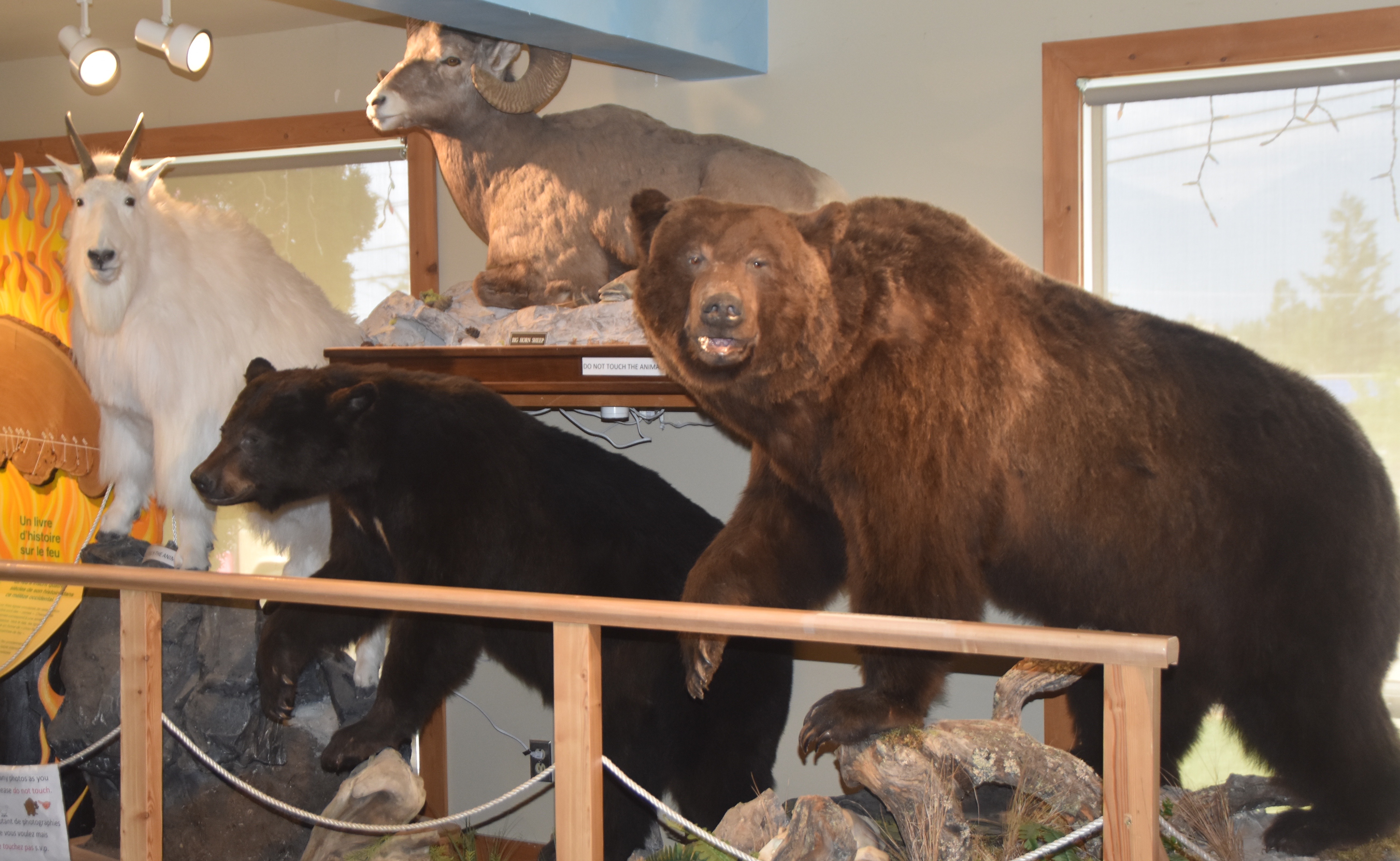 Interpretive Centre, Kootenay Interpretive Centre