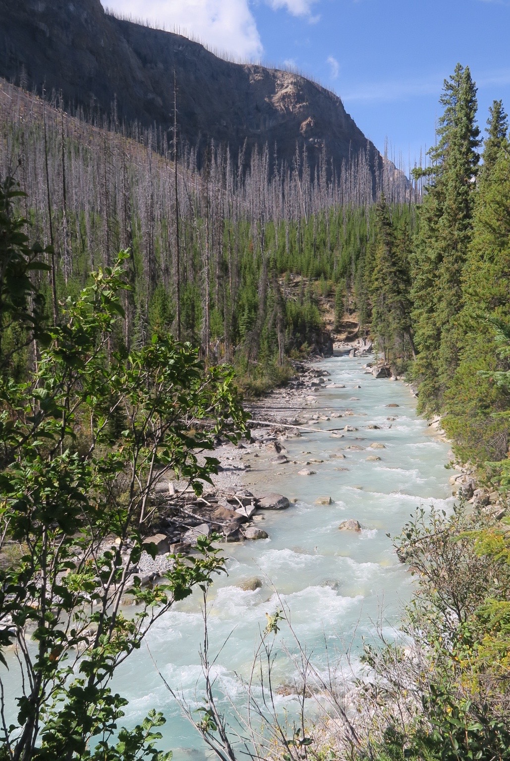 Marble Canyon Creek, Kootenay National Park