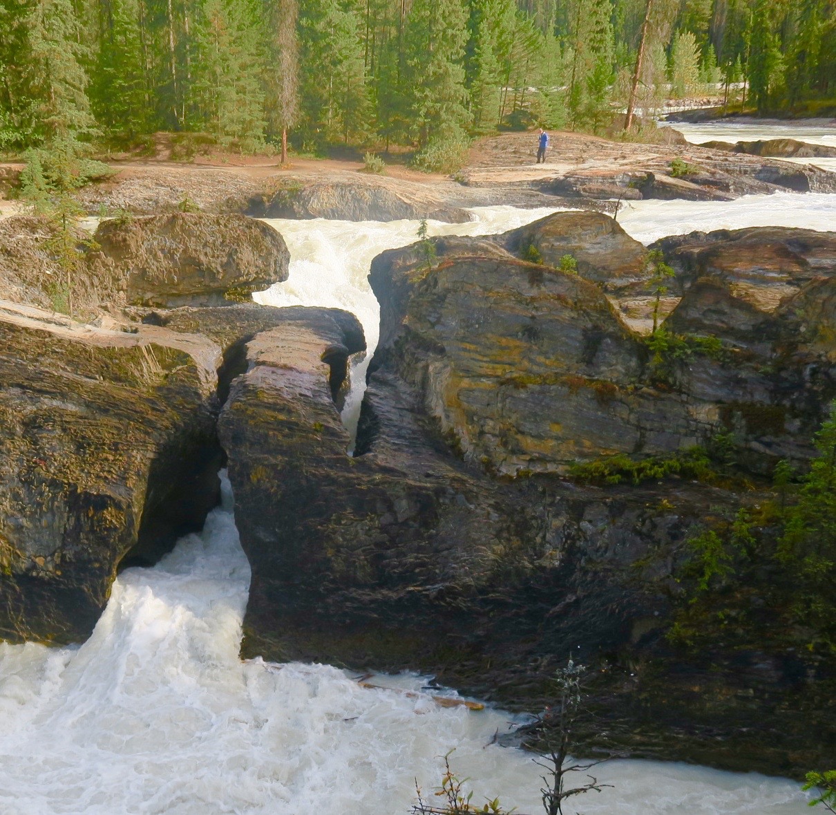 Natural Bridge, Yoho National Park