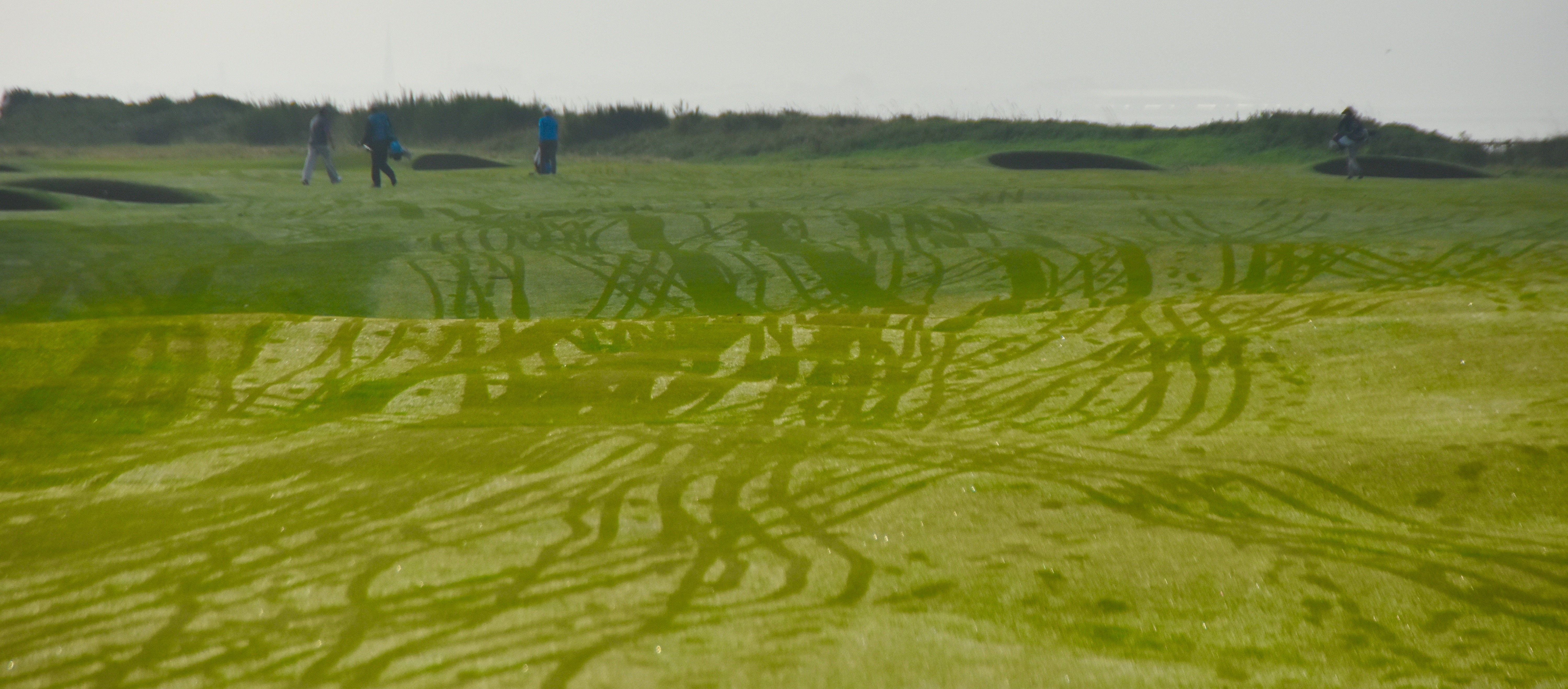 No. 1 - Seal, Old course, Troon