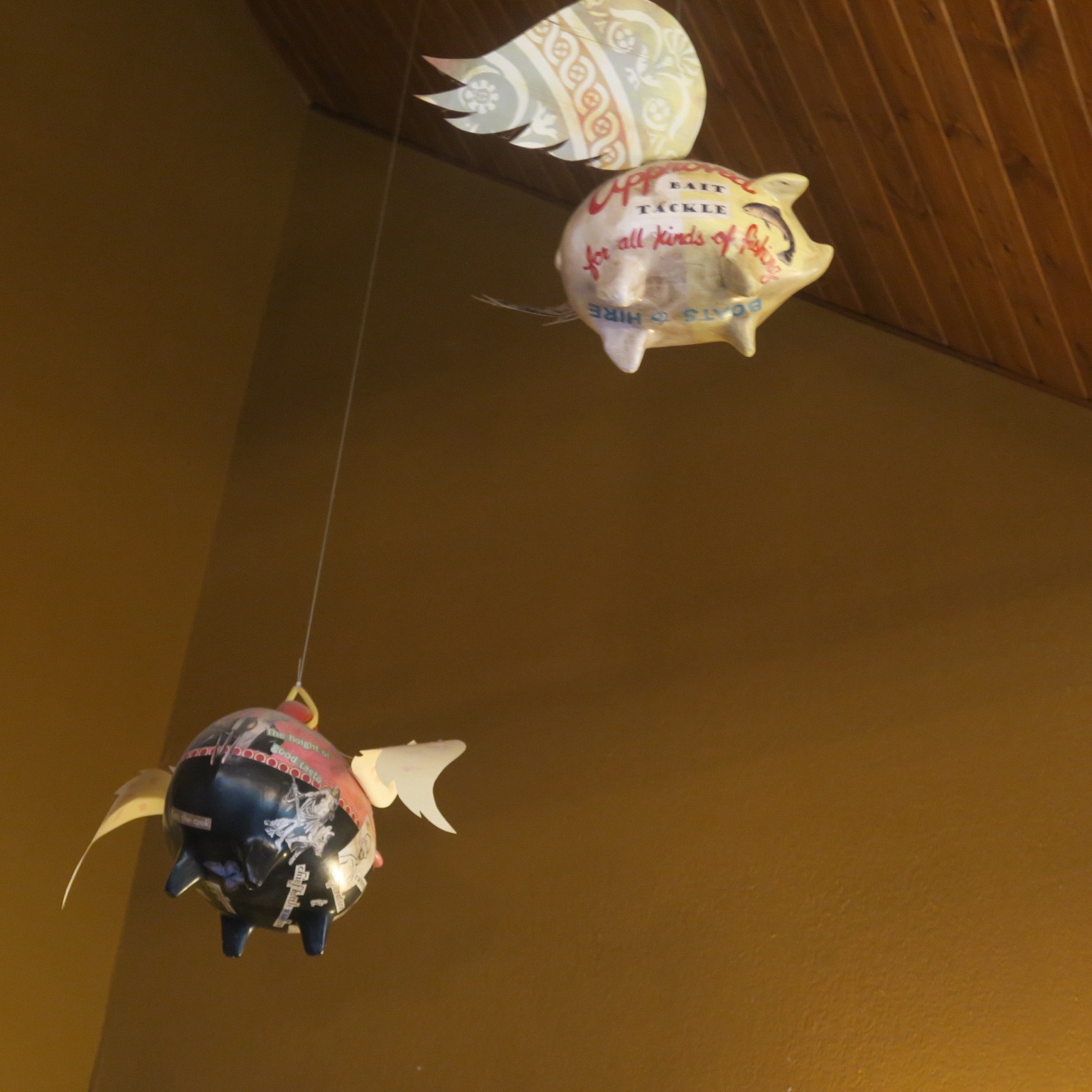 Pigs Fly