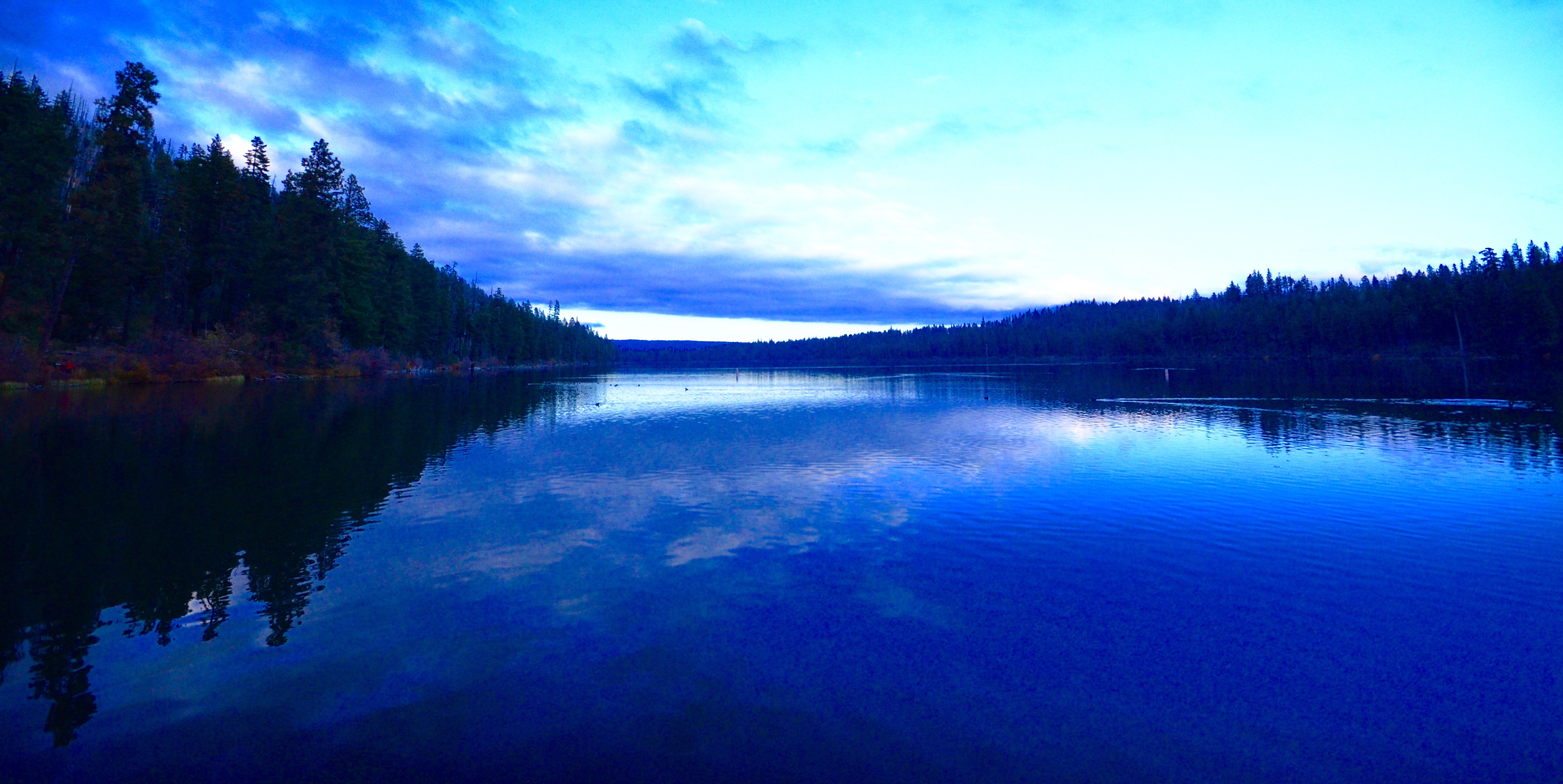 Suttle Lake 