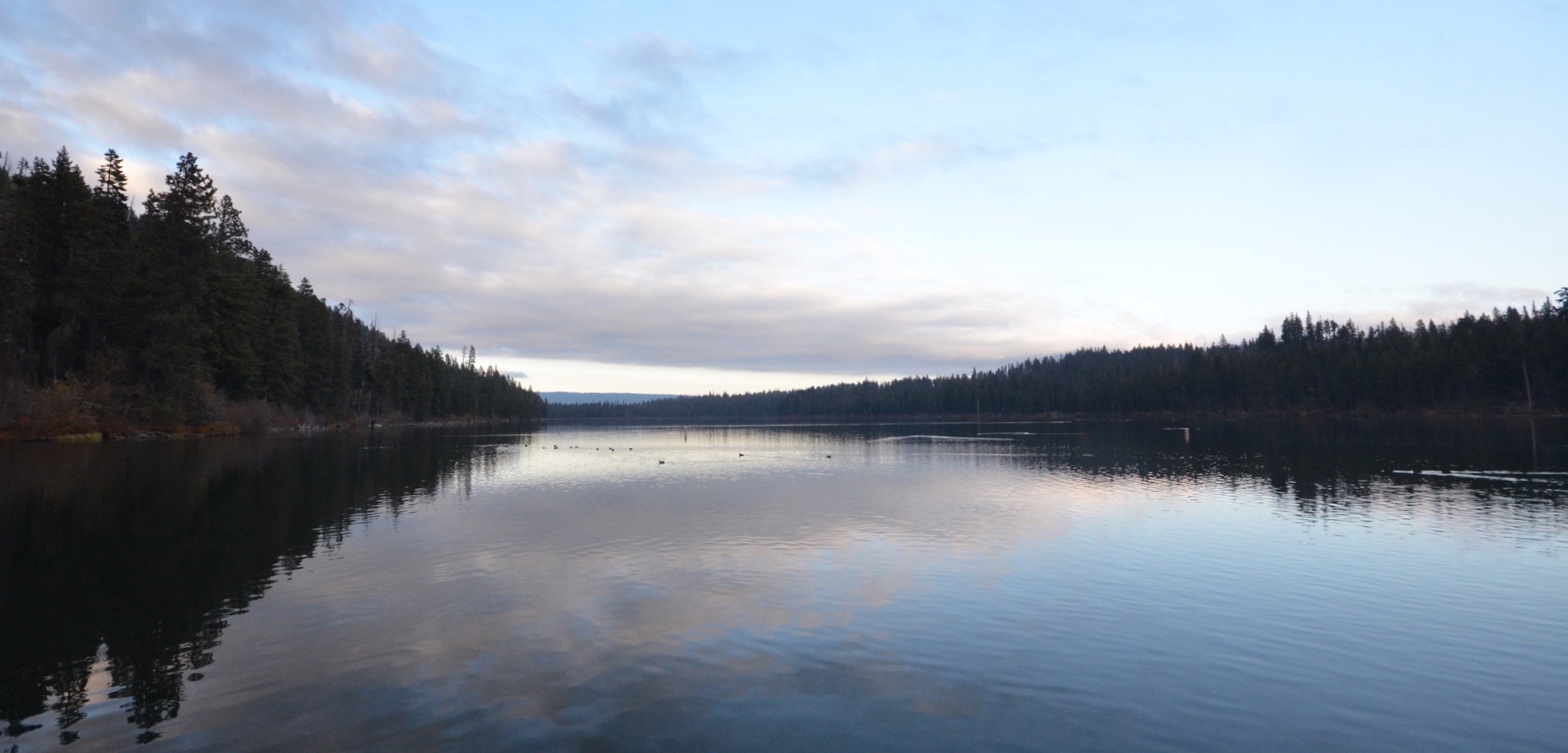 Suttle Lake